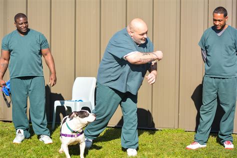 Rehab program pairs death row dogs, California prison inmates
